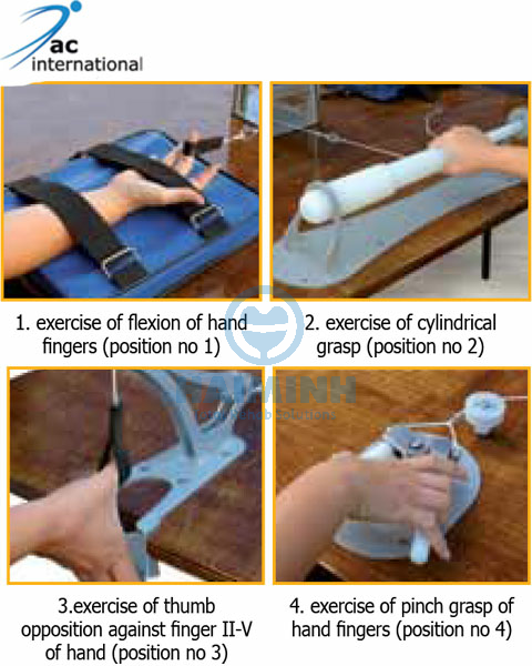 Bàn tập đa năng cho chi trên 0